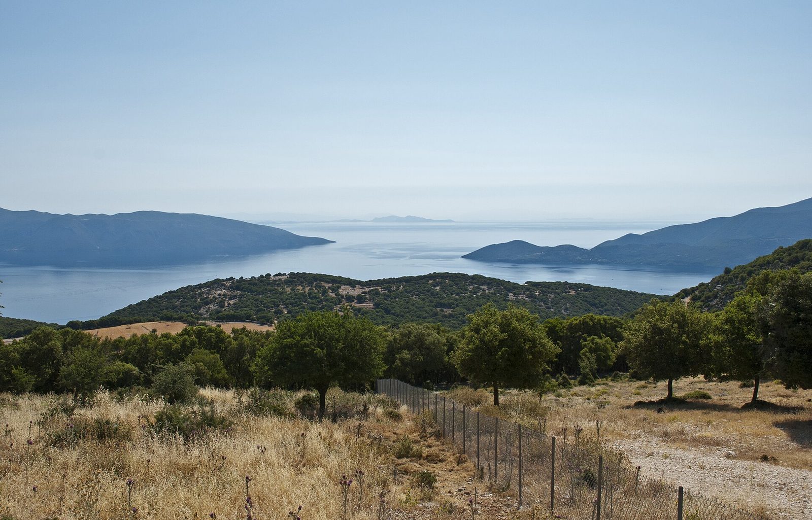Olive trees and a dry field on a hillside with a sea view, Kefalonia